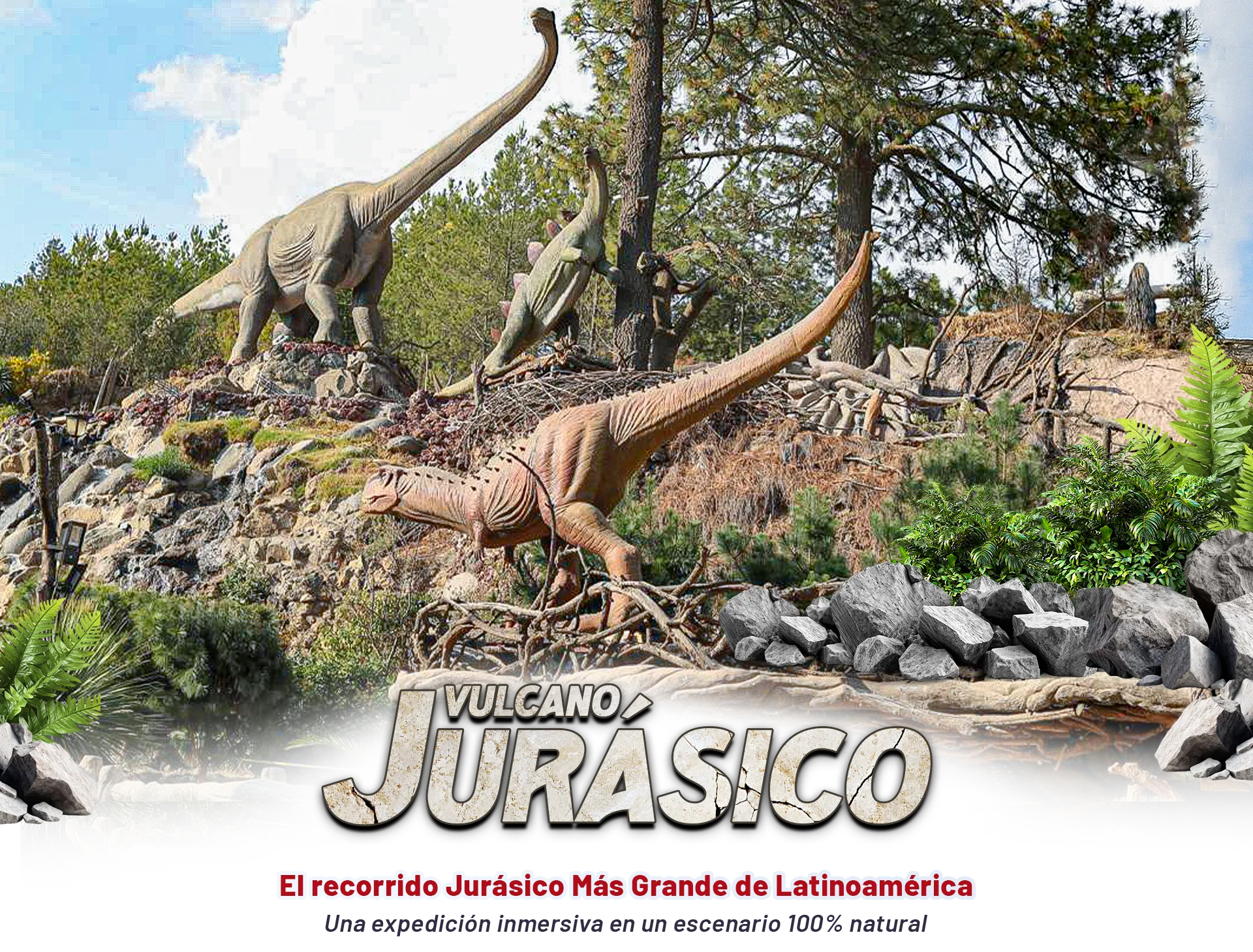 Hospedaje Volcanic Park