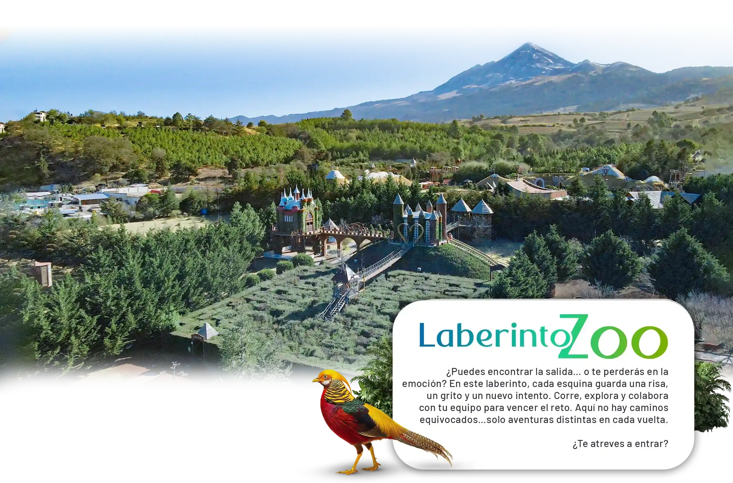 Hospedaje Volcanic Park