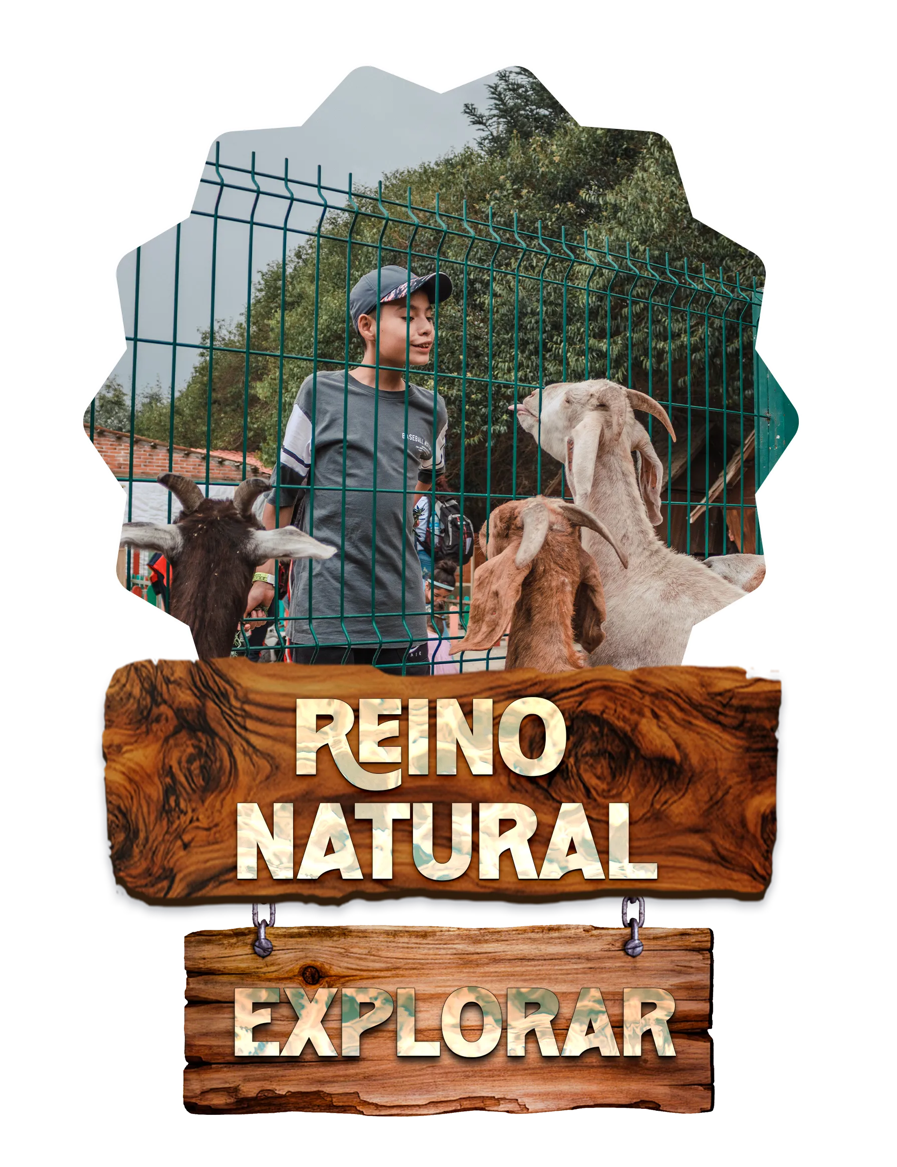 Reino Natural