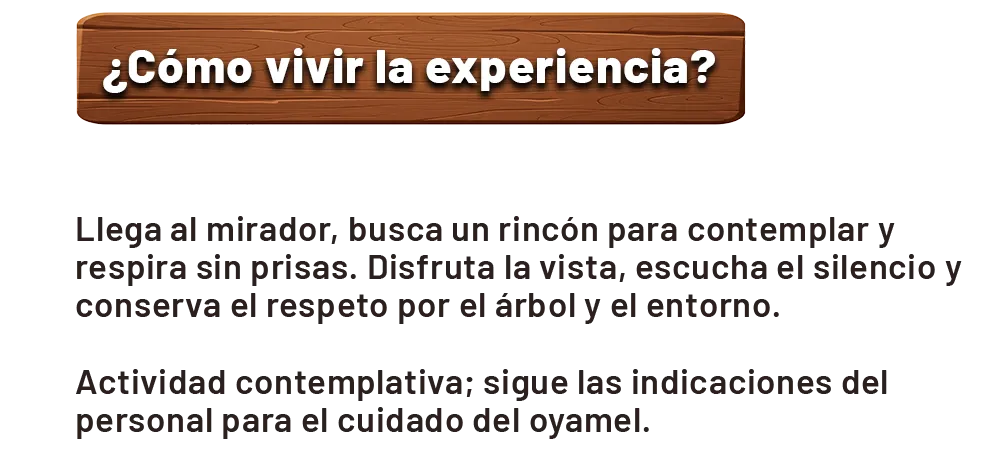 Hospedaje Volcán Jurásico